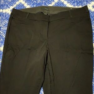 Lane Bryant Allie pant
